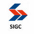 Shaanxi Construction Engineering Group Corporation Limited (600248.SS) Logo