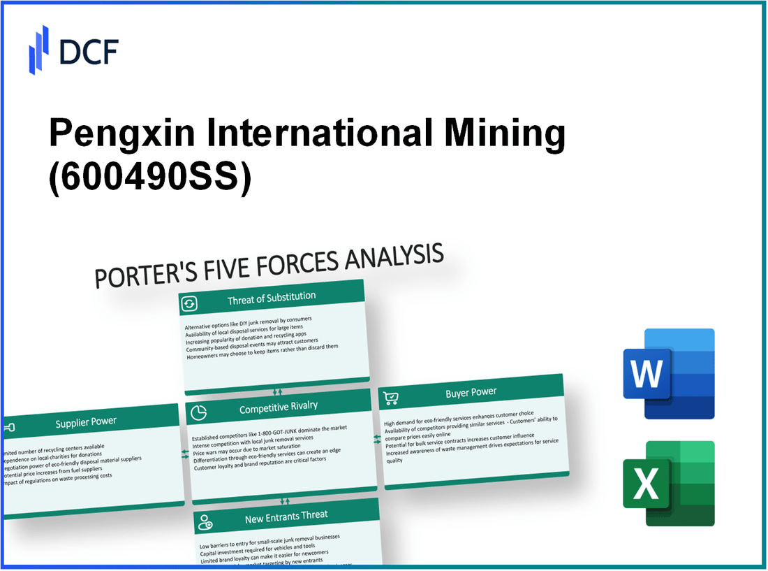 Pengxin International Mining (600490.SS): Porter's 5 Forces Analysis