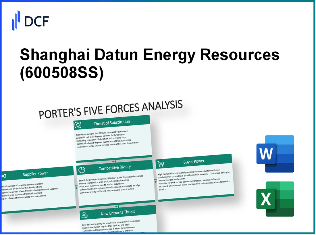 Shanghai Datun Energy Resources (600508.SS): Porter's 5 Forces Analysis