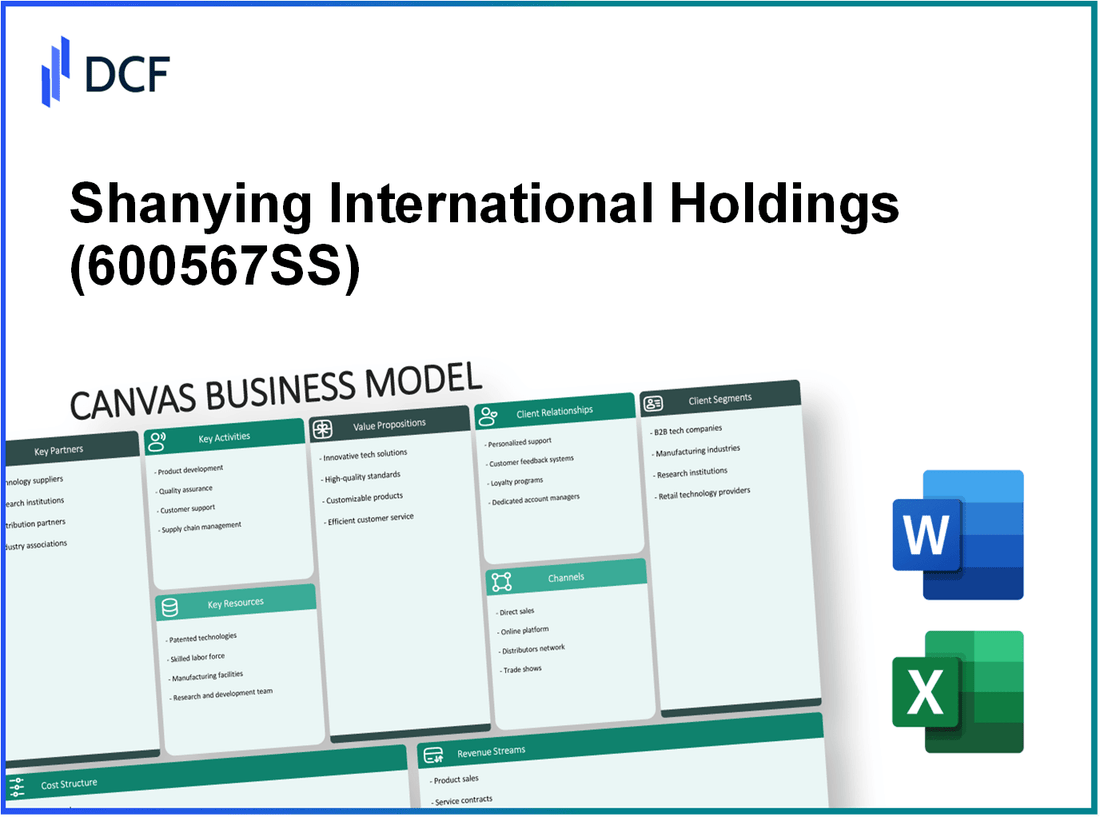 Shanying International Holdings Co.,Ltd (600567.SS): Canvas Business Model