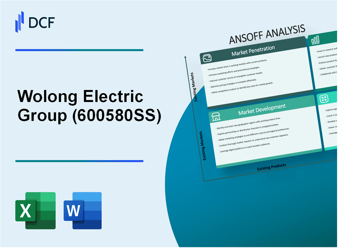 Wolong Electric Group Co.,Ltd. (600580.SS): Ansoff Matrix