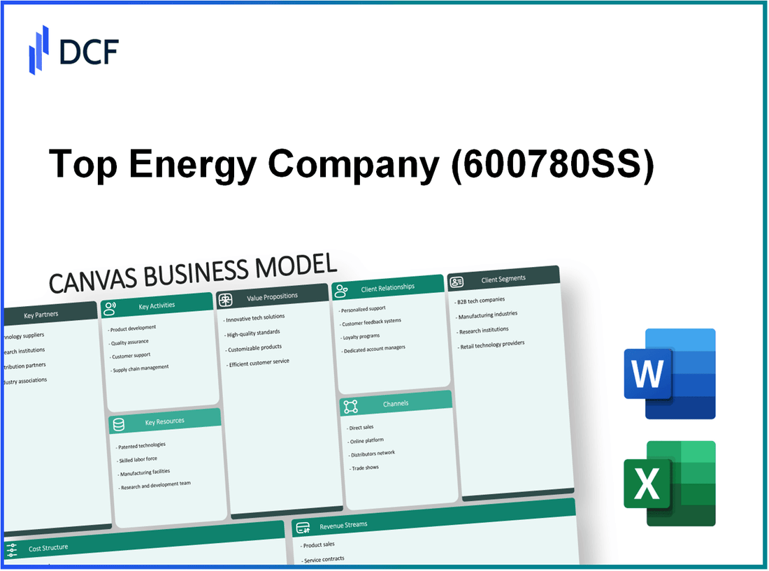 Top Energy Company Ltd.Shanxi (600780.SS): Canvas Business Model