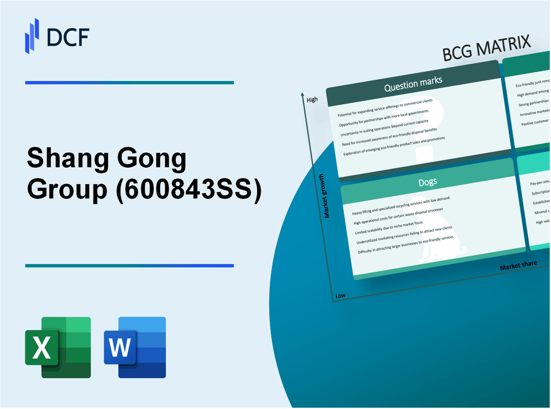 Shang Gong Group Co., Ltd. (600843.SS): BCG Matrix