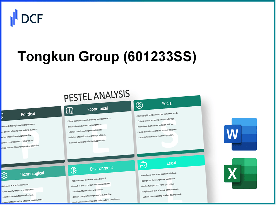 Tongkun Group Co., Ltd. (601233.SS): PESTEL Analysis