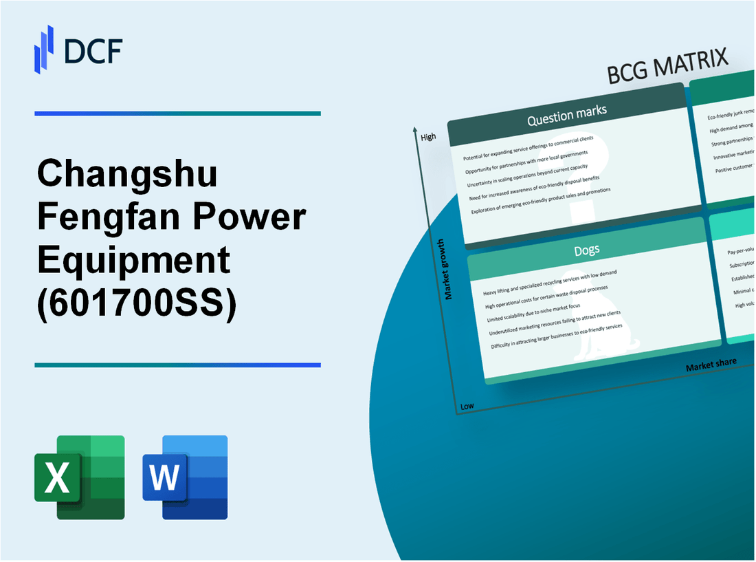 Changshu Fengfan Power Equipment Co., Ltd. (601700.SS): BCG Matrix