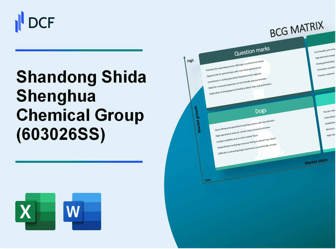 Shandong Shida Shenghua Chemical Group Company Limited (603026.SS): BCG Matrix