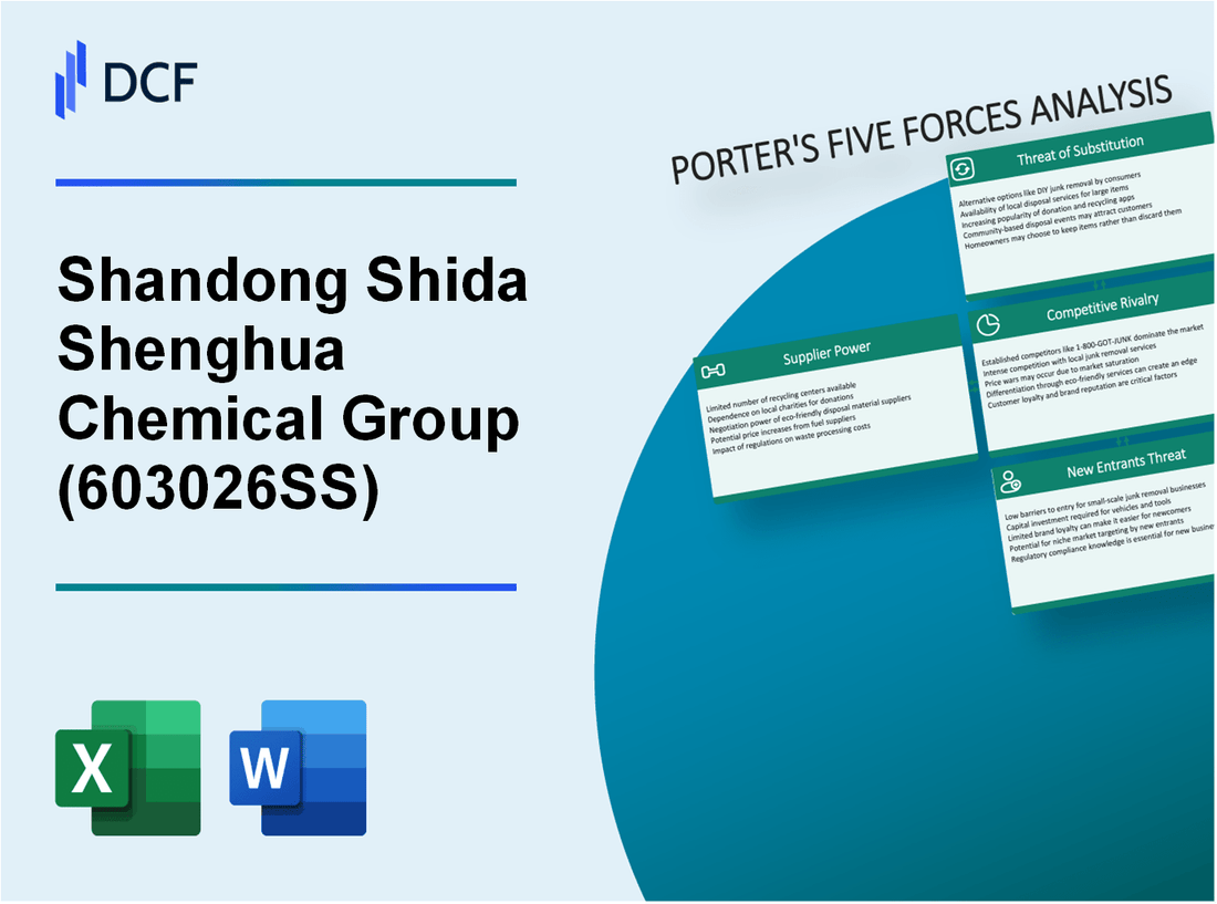 Shandong Shida Shenghua Chemical Group (603026.SS): Porter's 5 Forces Analysis