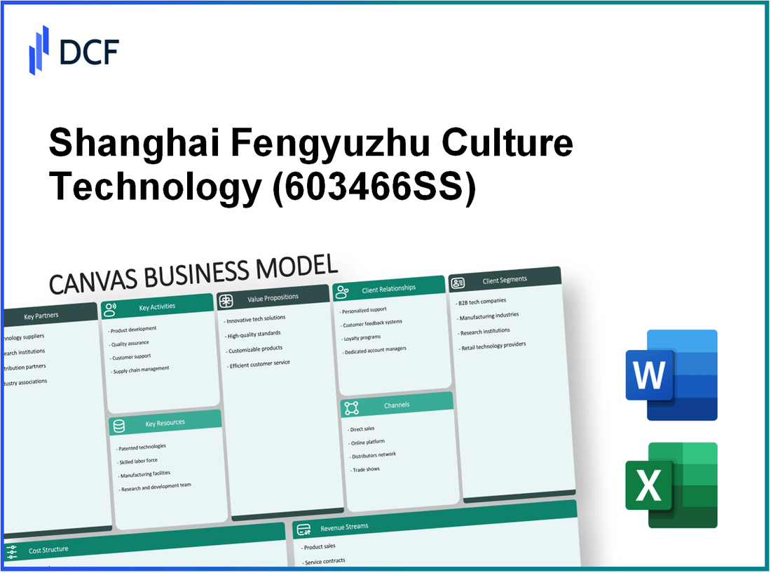 Shanghai Fengyuzhu Culture Technology Co., Ltd. (603466.SS): Canvas Business Model