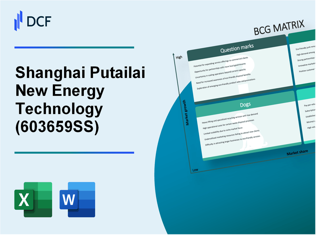 Shanghai Putailai New Energy Technology Co.,Ltd. (603659.SS): BCG Matrix