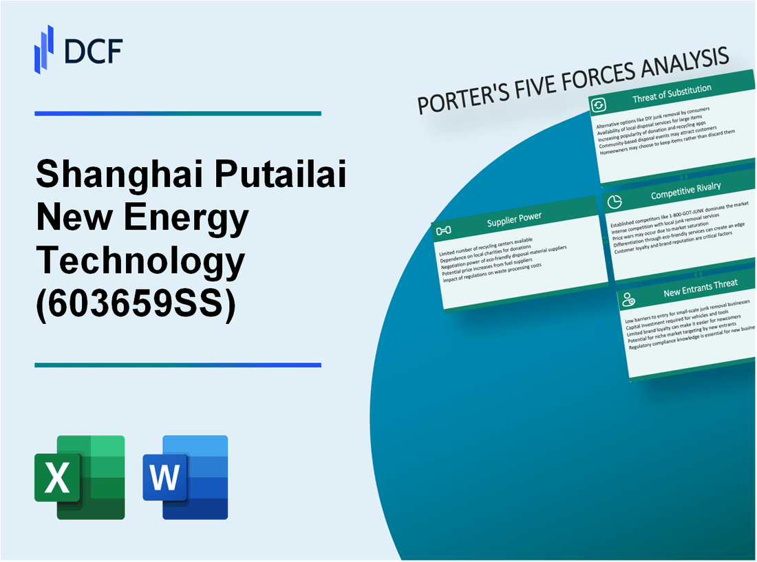 Shanghai Putailai New Energy Technology (603659.SS): Porter's 5 Forces Analysis