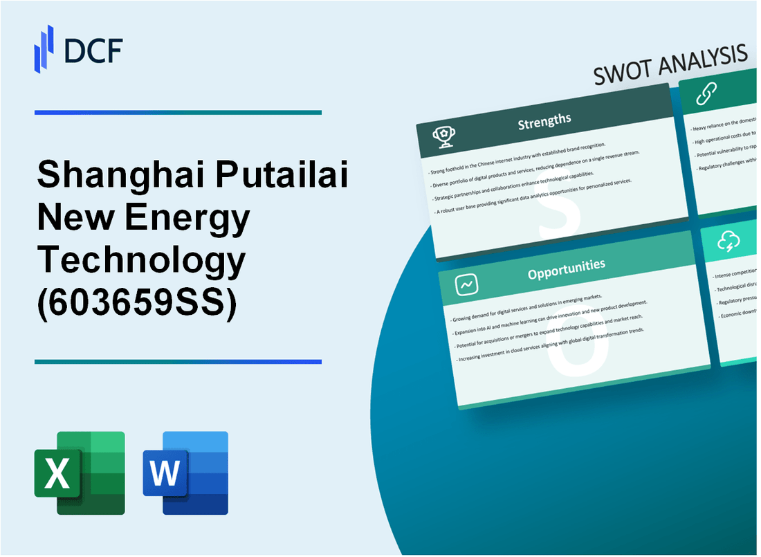 Shanghai Putailai New Energy Technology Co.,Ltd. (603659.SS): SWOT Analysis