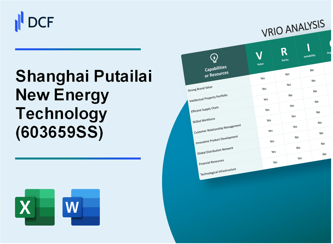Shanghai Putailai New Energy Technology Co.,Ltd. (603659.SS): VRIO Analysis