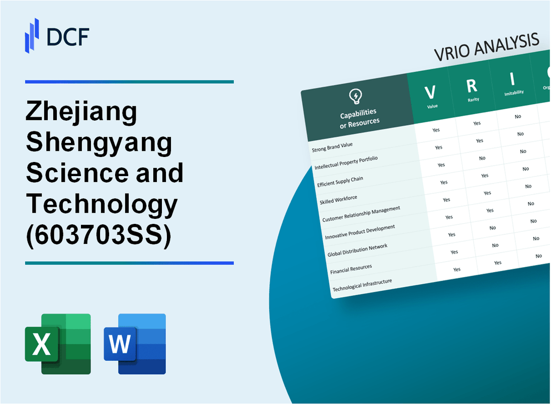 Zhejiang Shengyang Science and Technology Co., Ltd. (603703.SS): VRIO Analysis