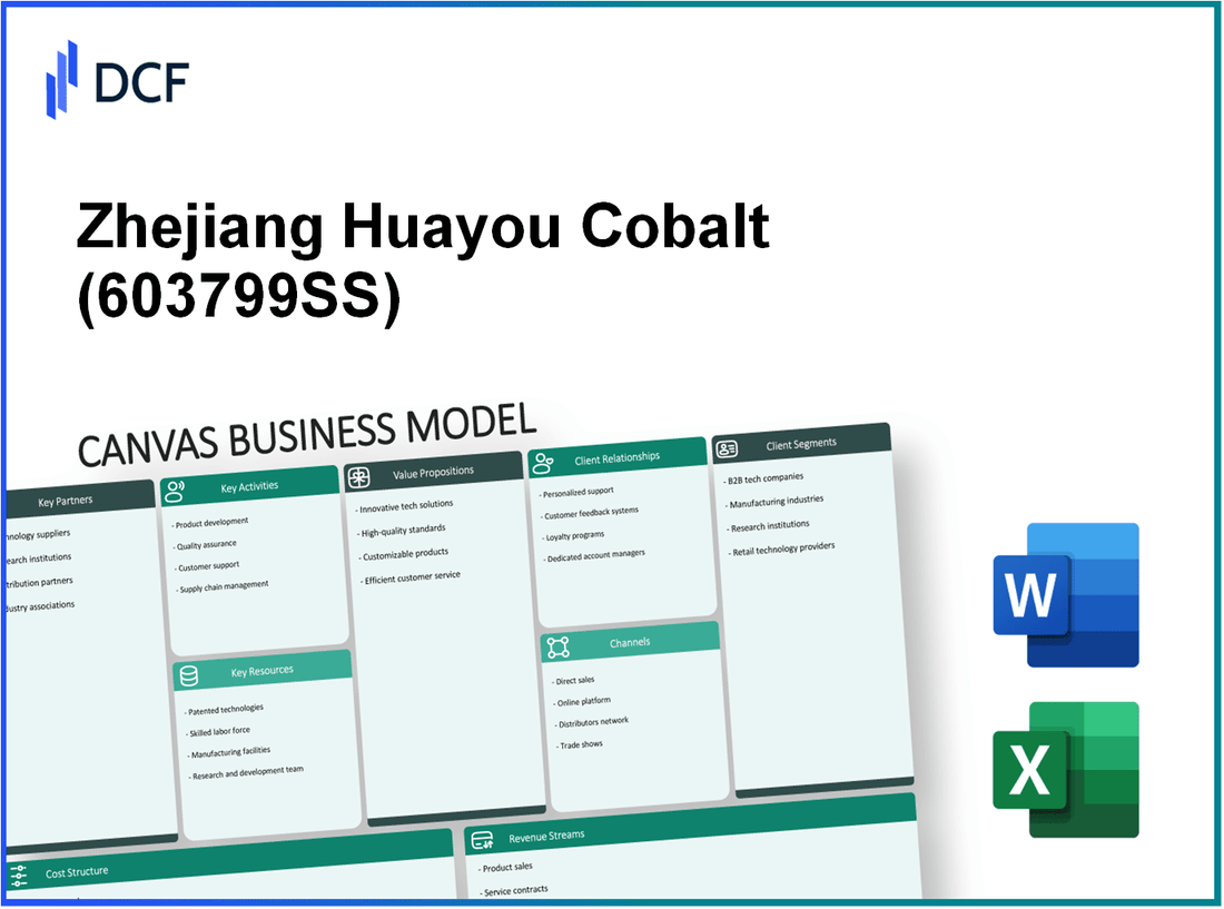 Zhejiang Huayou Cobalt Co., Ltd (603799.SS): Canvas Business Model