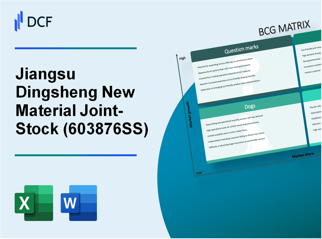 Jiangsu Dingsheng New Material Joint-Stock Co.,Ltd (603876.SS): BCG Matrix