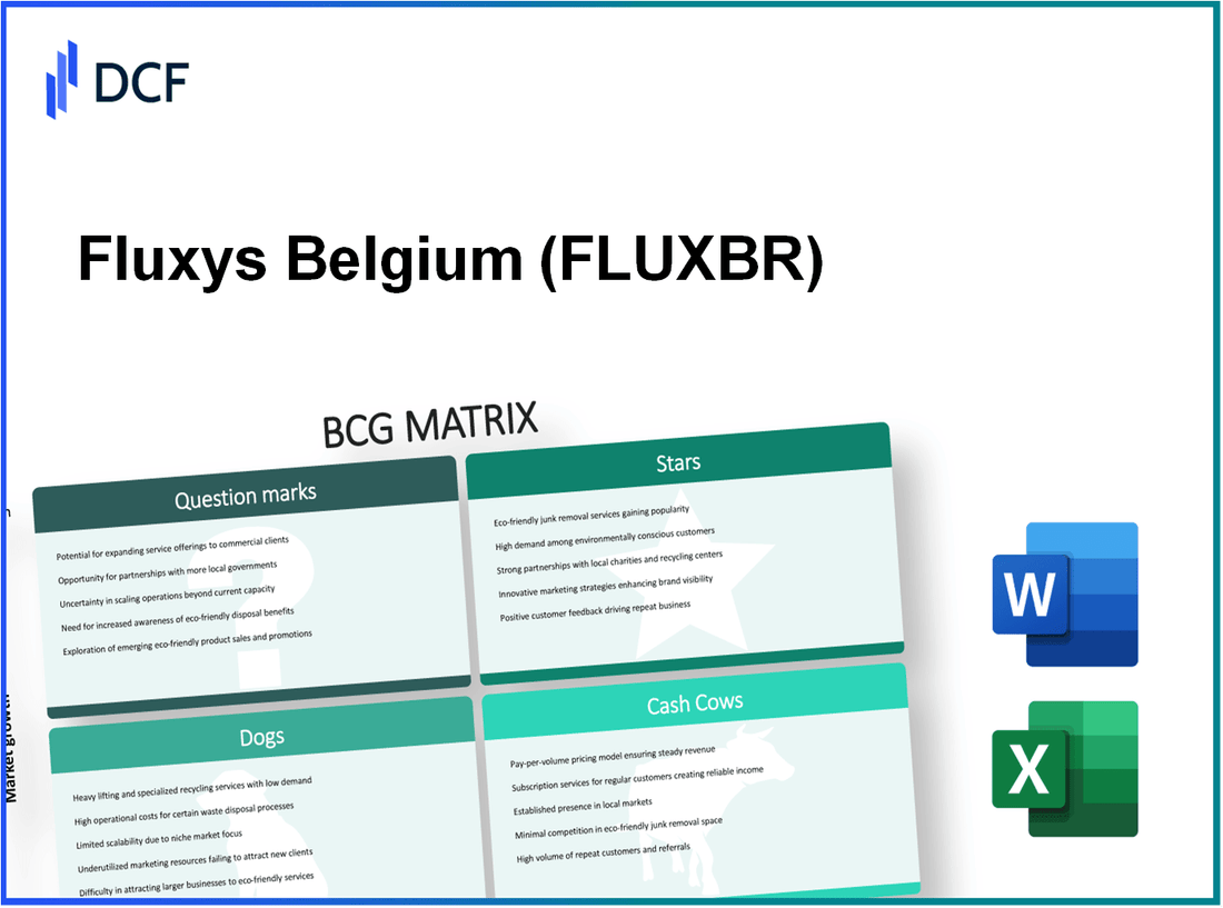 Fluxys Belgium SA (FLUX.BR): BCG Matrix