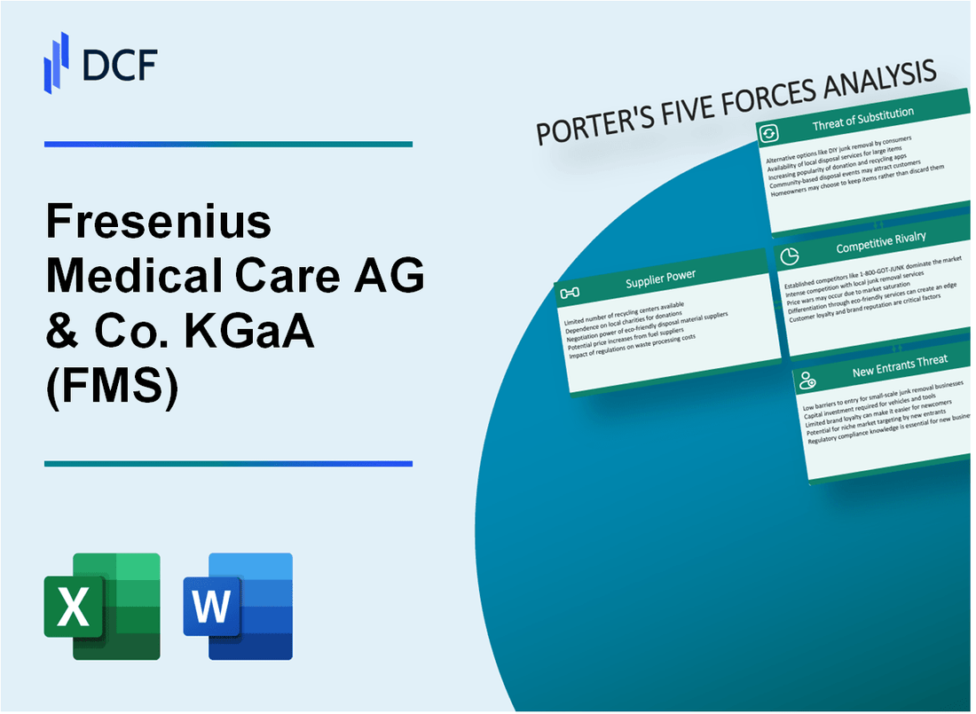 Fresenius Medical Care AG & Co. KGaA (FMS) Porter's Five Forces Analysis