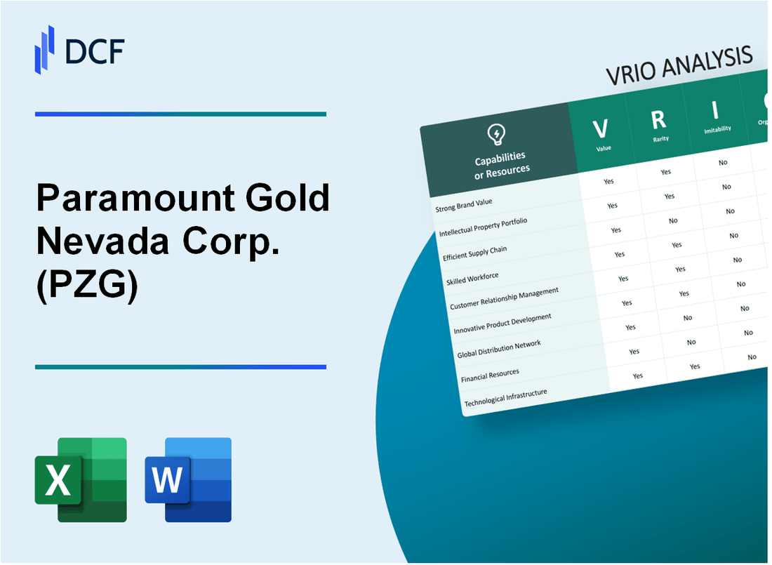 Paramount Gold Nevada Corp. (PZG) VRIO Analysis