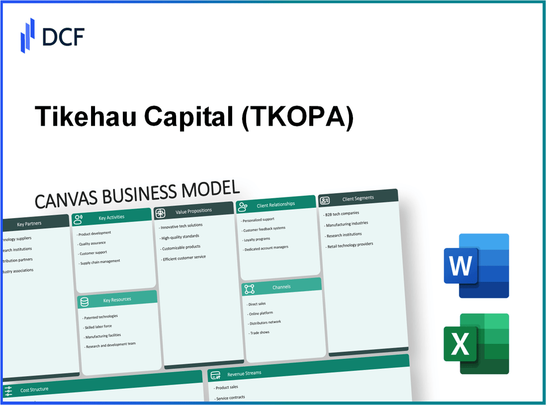 Tikehau Capital (TKO.PA): Canvas Business Model