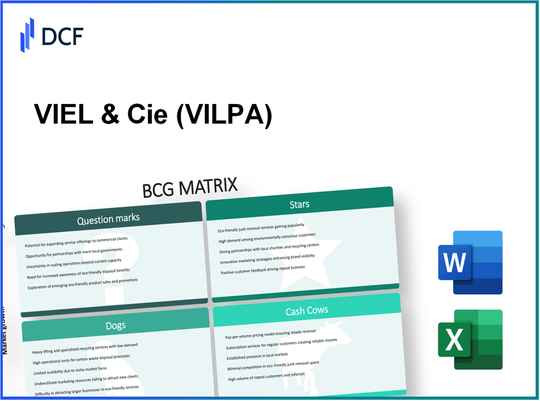 VIEL & Cie, société anonyme (VIL.PA): BCG Matrix